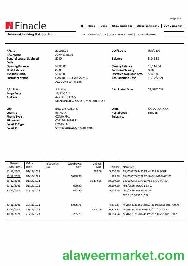 India Finacle bank statement easy to fill template in Word and PDF format